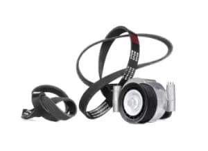 RIDEX V-ribbed belt set FORD,VOLVO 542R0112 1232500,1251661,1315781 Serpentine belt kit,Auxiliary belt kit,Poly V-belt kit,V-ribbed belt kit,5113695