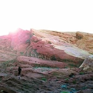 Tamaryn The Waves Vinyl