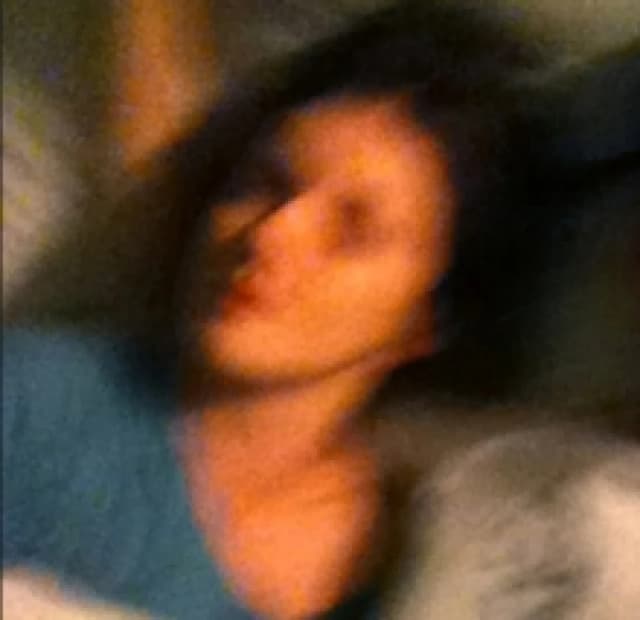 Bake Haus CD / Album