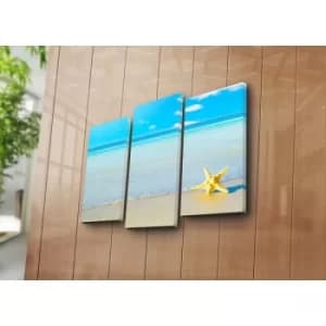 3NATPAT-45 Multicolor Decorative Canvas Painting (3 Pieces)