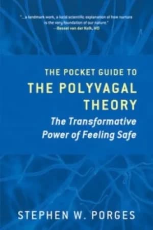 The pocket guide to the polyvagal theory by Stephen W Porges