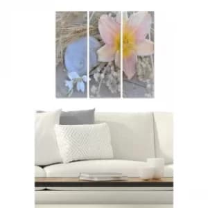 MDF2450687 Multicolor Decorative MDF Painting (3 Pieces)