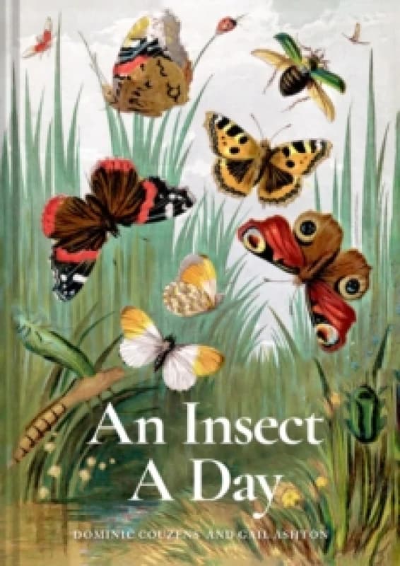 An Insect A Day : Bees, bugs, and pollinators for every day of the year Volume 6 Hardback