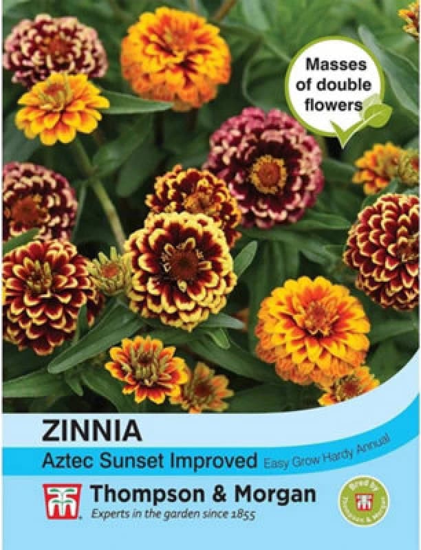 Thompson & Morgan Zinnia Haageana Aztec Sunset 1 Packet (20 Seeds)