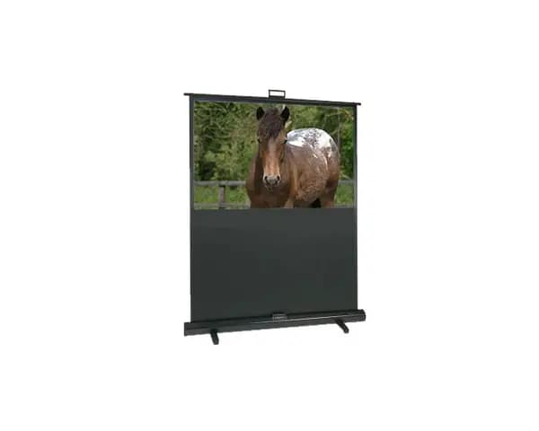 Sapphire 79" SFL200P Manual Floor Projector Screen