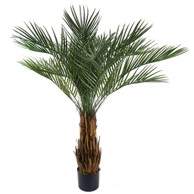 Leaf Cycas Palm Tree UV Resistant Outdoor 120cm Botanik Green