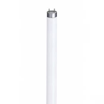 Eveready Triphosphor Tube 830 18w2ft