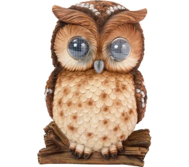 Smart Solar Blinkin' Owl One Colour WEV23 Unisex