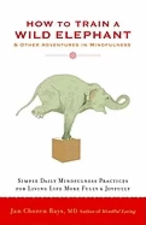 how to train a wild elephant and other adventures in mindfulness