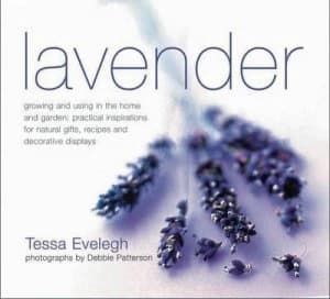 Lavender by Tessa Evelegh and Debbie Patterson Paperback