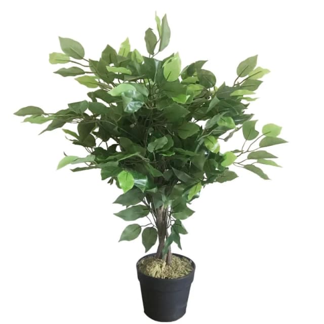 Leaf 60cm Leaf Realistic Artificial Ficus Tree / Plant Green