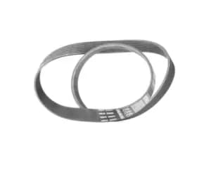 Bosch V-ribbed belt VW,AUDI,MERCEDES-BENZ 1 987 947 939 500385160,045903137D,128047 128051,6453FK,50038516,6483251,6758564,91SF6C301C2C,21900104102000