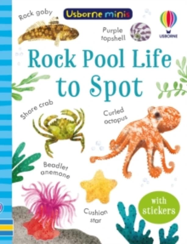 Rock Pool Life to Spot Paperback / softback
