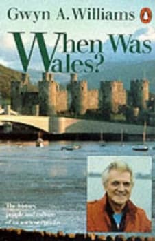 When Was Wales by Gwyn a Williams Paperback