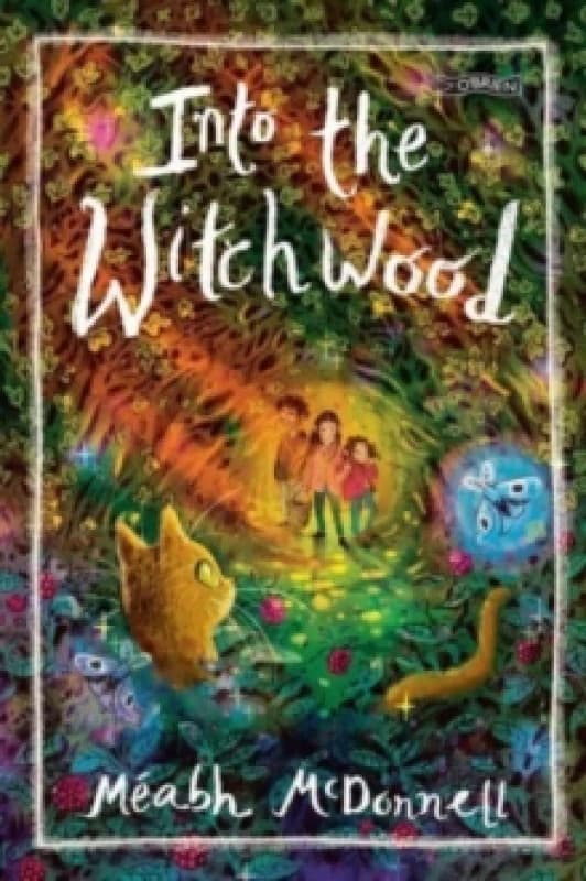 Into the Witchwood Paperback / softback