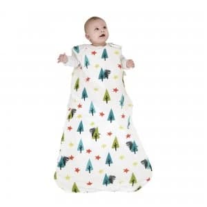 Dragon Kingdom Sleeping Bag