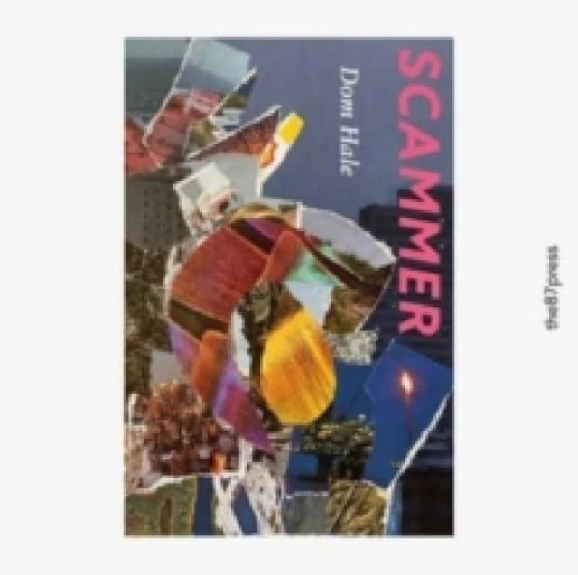 Scammer Paperback / softback