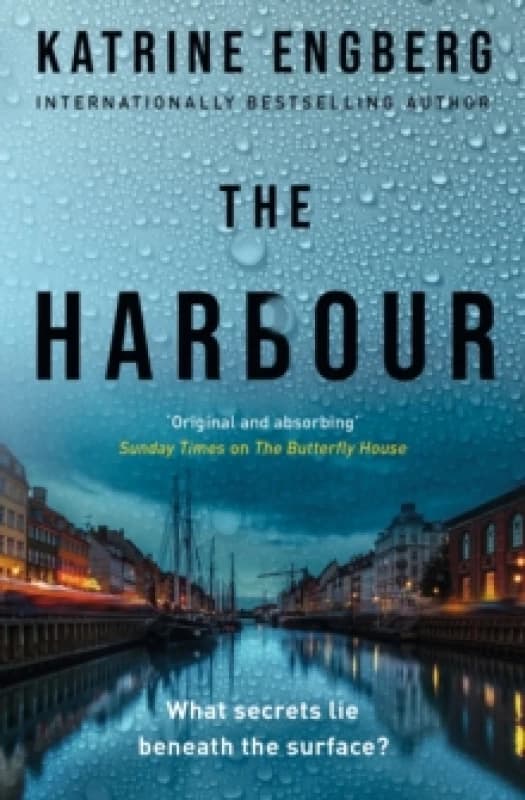 The Harbour : the gripping and twisty new crime thriller from the international bestseller for 2022 Paperback / softback