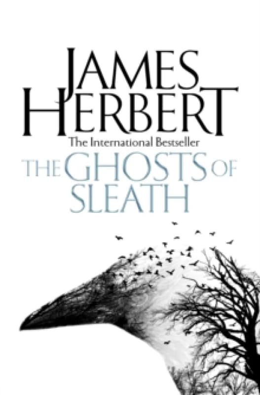 The Ghosts of Sleath Paperback / softback