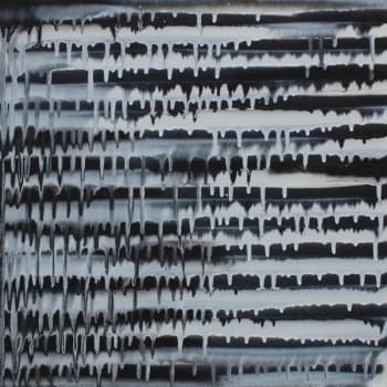 Eirwud Mudwasser - Snaker 010 Vinyl