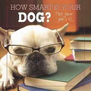 How Smart Is Your Dog Hardback