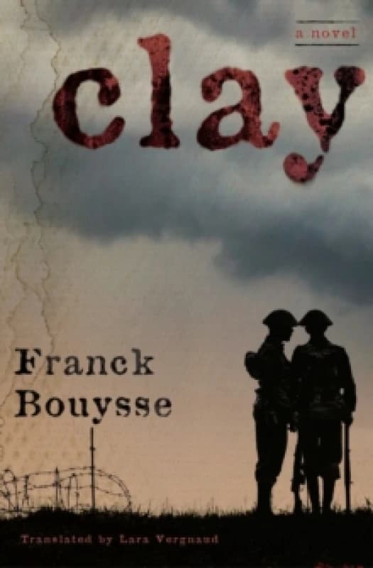 Clay : A Novel Paperback / softback
