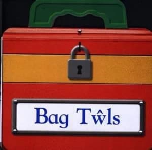 Bag Twls by Sioned Lleinau Hardback
