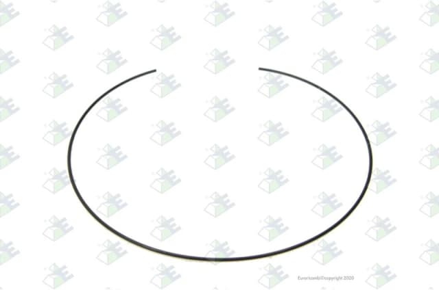 Euroricambi 60531198 Circlip Circlip (1656)