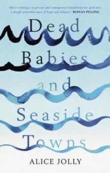 Dead Babies and Seaside Towns by Alice Jolly Hardback
