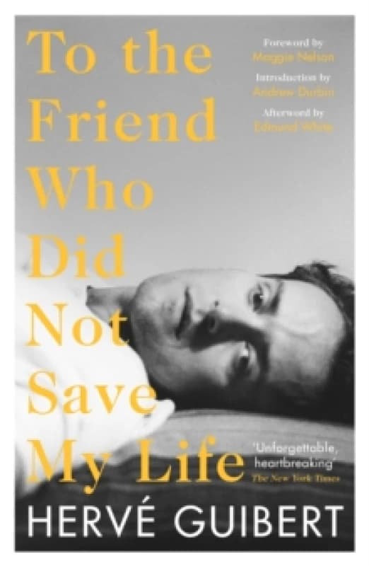 To the Friend Who Did Not Save My Life Paperback / softback