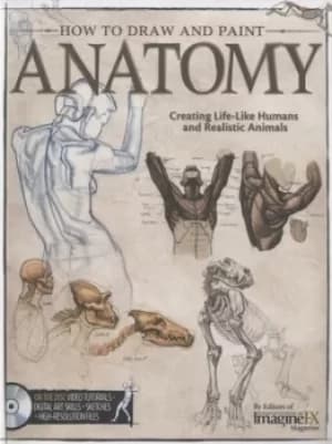 How to draw and Paint anatomy by