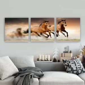 PDR14 Multicolor Decorative Canvas Painting (3 Pieces)