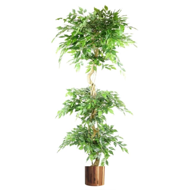 N/A 180cm Artificial Twisted Trunk Fruticosa Ficus Tree Triple Ball Topiary 1984 Leaves Copper Metal Planter