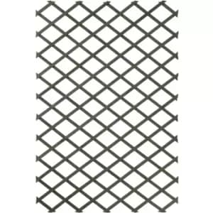 2 pcs Garden Trellises 100x200cm Wood Green Nature Green