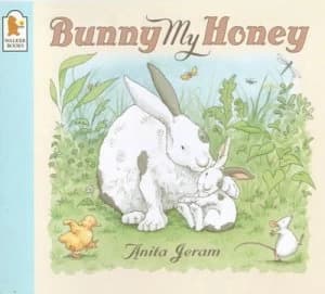 Bunny My Honey by Anita Jeram Paperback