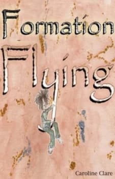 Formation Flying by Caroline Clare Paperback