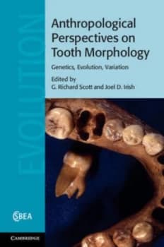 Anthropological Perspectives on Tooth Morphology by G. Richard Scott Hardback