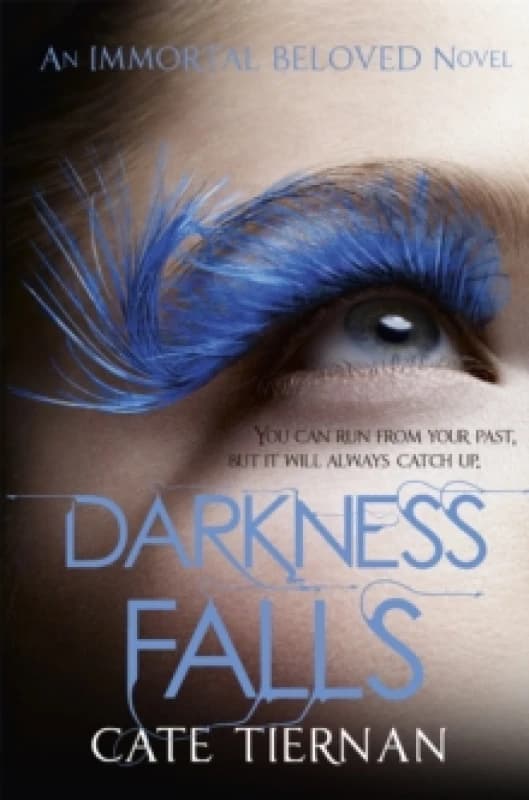 Darkness Falls (Immortal Beloved Book Two) Paperback / softback
