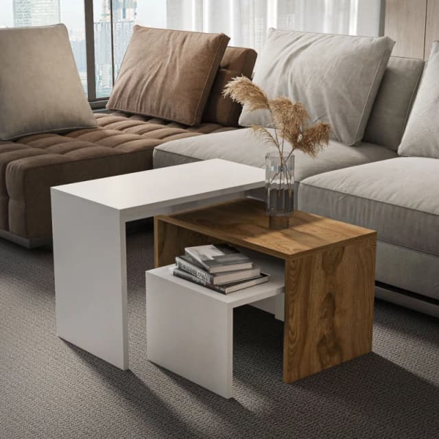 Decorotika Andro 3 Pieces Nesting Coffee Table in White White Unisex