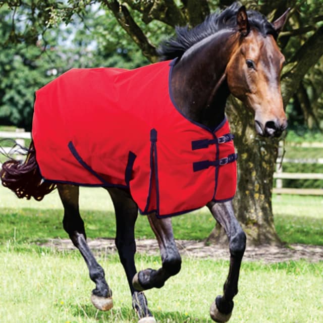 Requisite Standard 600 Lite Turnout Red/Navy unisex 5ft6