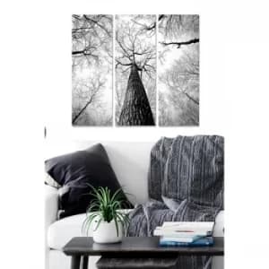 MDF238379 Multicolor Decorative MDF Painting (3 Pieces)