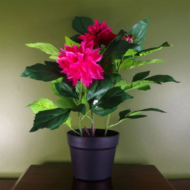 Leaf Artificial Dhalia Plant Flowers Flowering Plant Pink Botanik Dark Pink