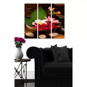 MDF22315087 Multicolor Decorative MDF Painting (3 Pieces)