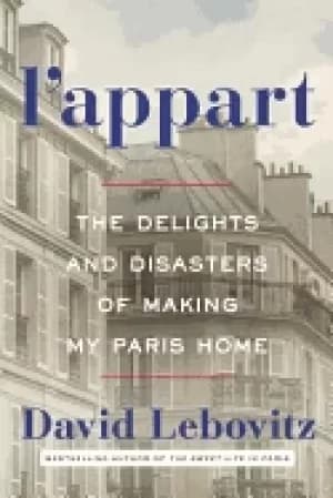 lappart the delights and disasters of making my paris home