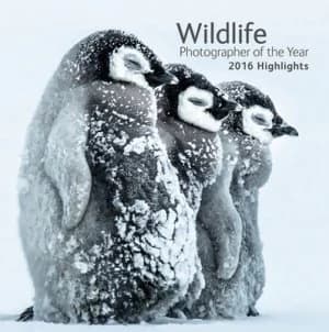 Wildlife Photographer of the Year by Rosamund Kidman Cox Book
