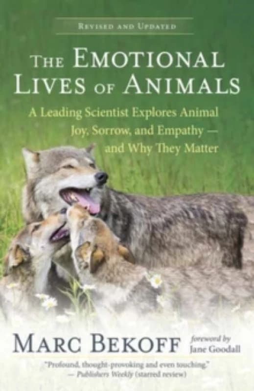The Emotional Lives of Animals Revised : A Leading Scientist Explores Animal Joy, Sorrow and Empathy - and Why They Matter Paperback / softback