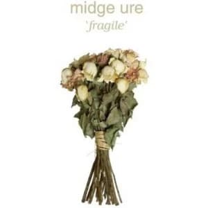Midge Ure - Fragile Vinyl