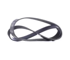 RIDEX V-ribbed belt 305P0409 Serpentine belt,Auxiliary belt FORD,VOLVO,Focus II Schragheck (DA_, HCP, DP),Focus II Kombi (DA_, FFS, DS),C-MAX (DM2)