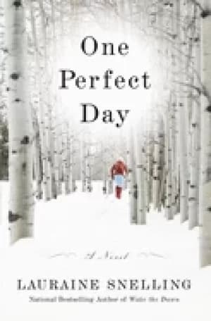 one perfect day a novel