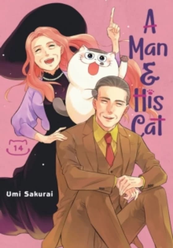 A Man and His Cat 14 Paperback / softback